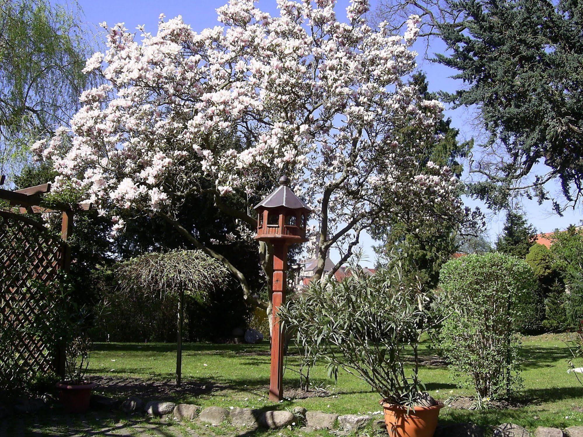 Hotel Garni Schlossgarten Neustrelitz Luaran gambar